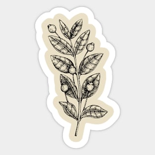 Plant Stem With Seed Pods Sticker